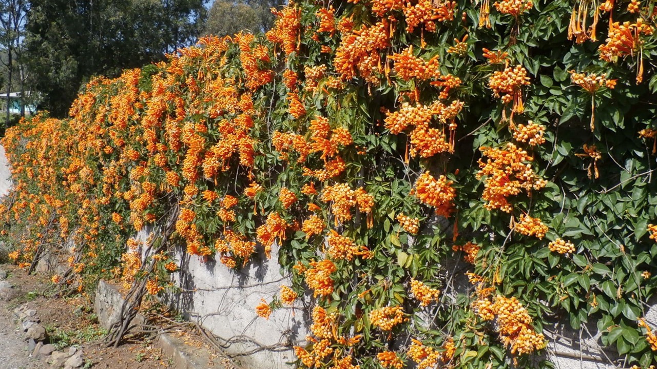 Photo of Outdoor in Gondar