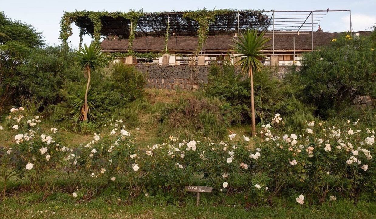 Photo of Others in Gondar