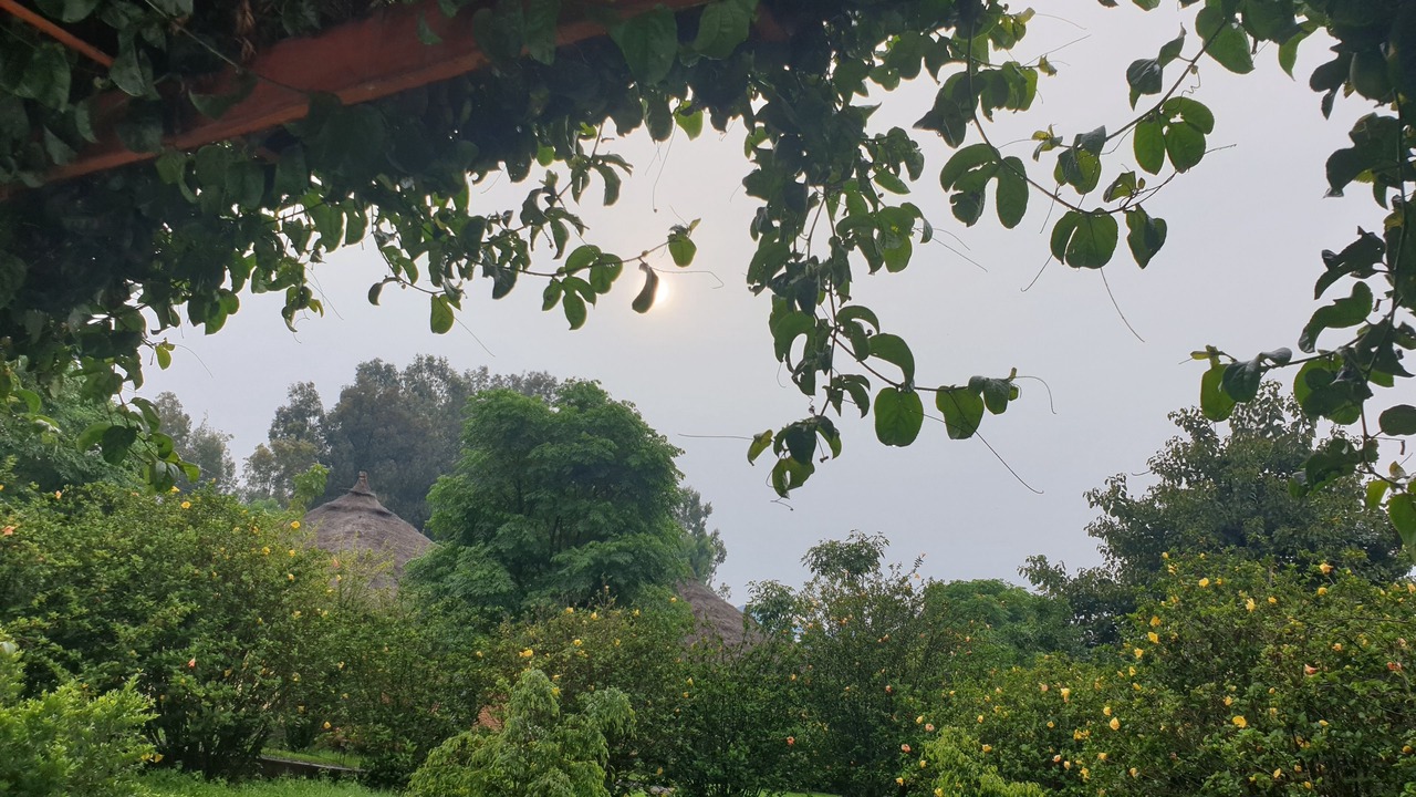 Photo of Patio Balcony in Gondar