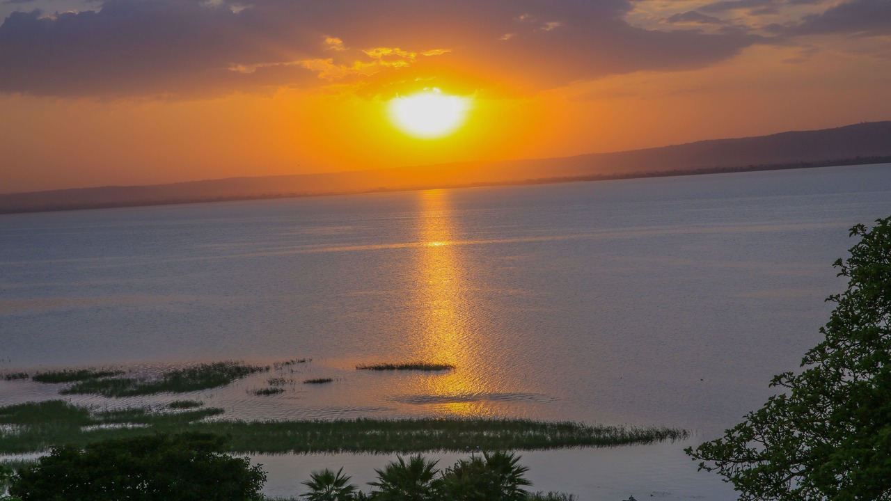 Photo of Others in Awassa