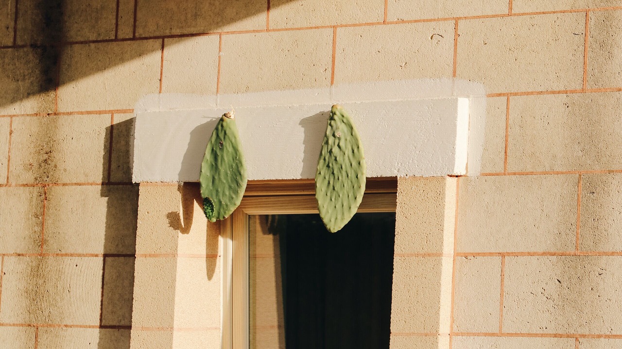 Photo of Outdoor in Giuggianello