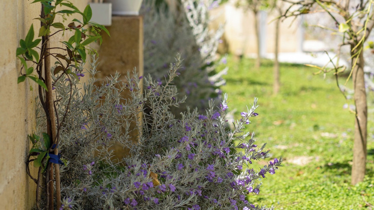 Photo of Outdoor in Uggiano la Chiesa