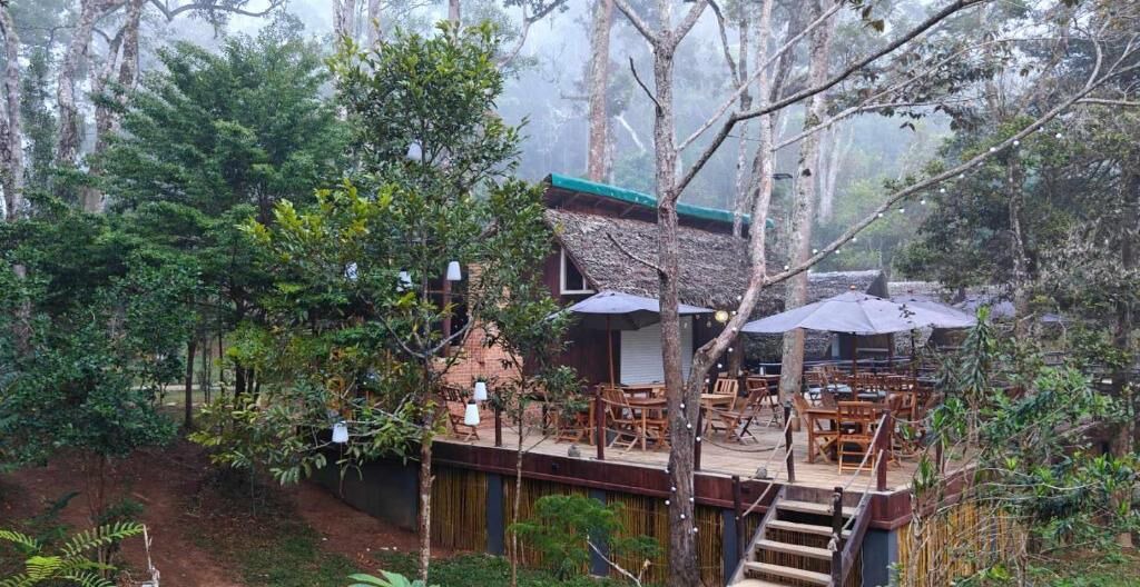 Photo of Outdoor in Andasibe