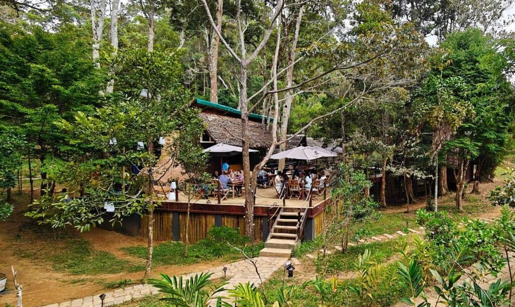 Photo of Outdoor in Andasibe