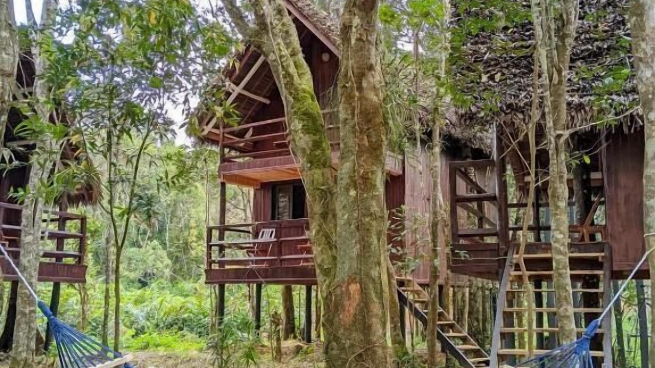Photo of Outdoor in Andasibe