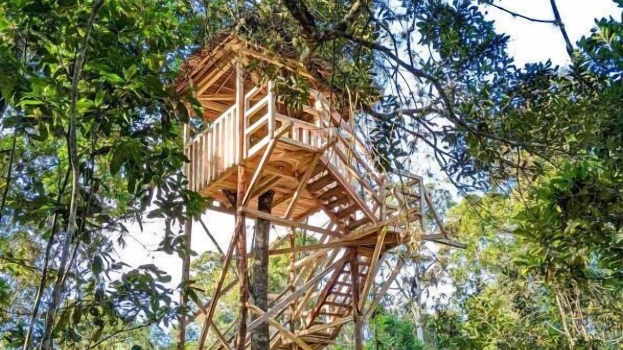 Photo of Outdoor in Andasibe