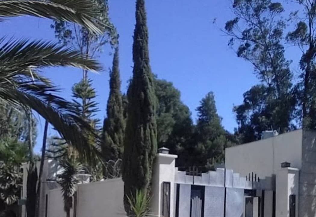 Photo of Outdoor in Yeka