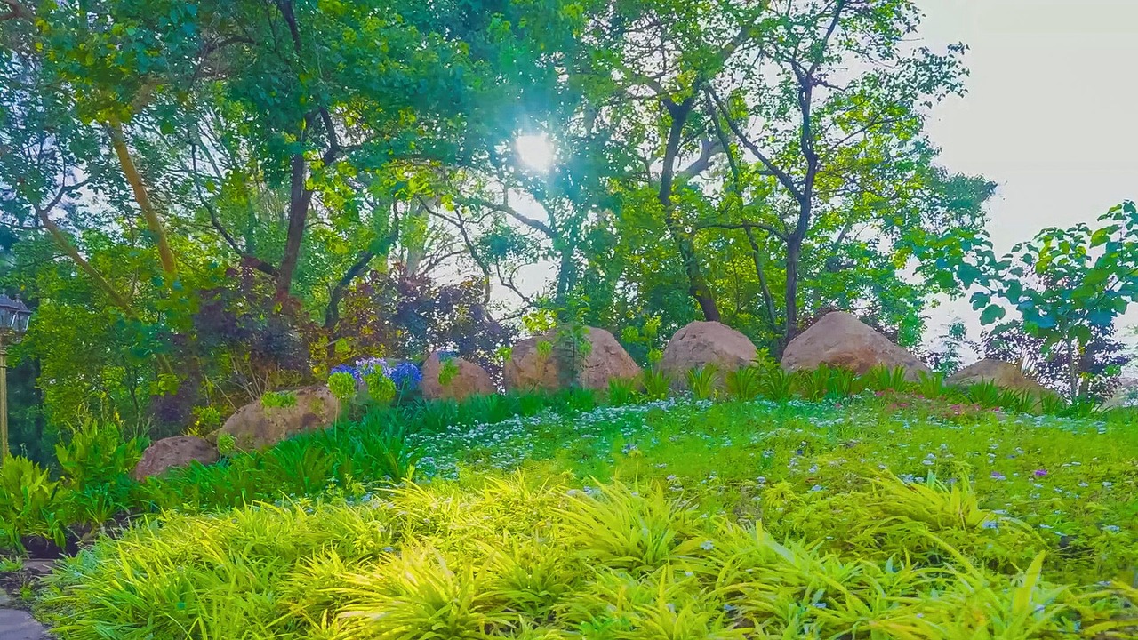 Photo of Outdoor in Gorgora