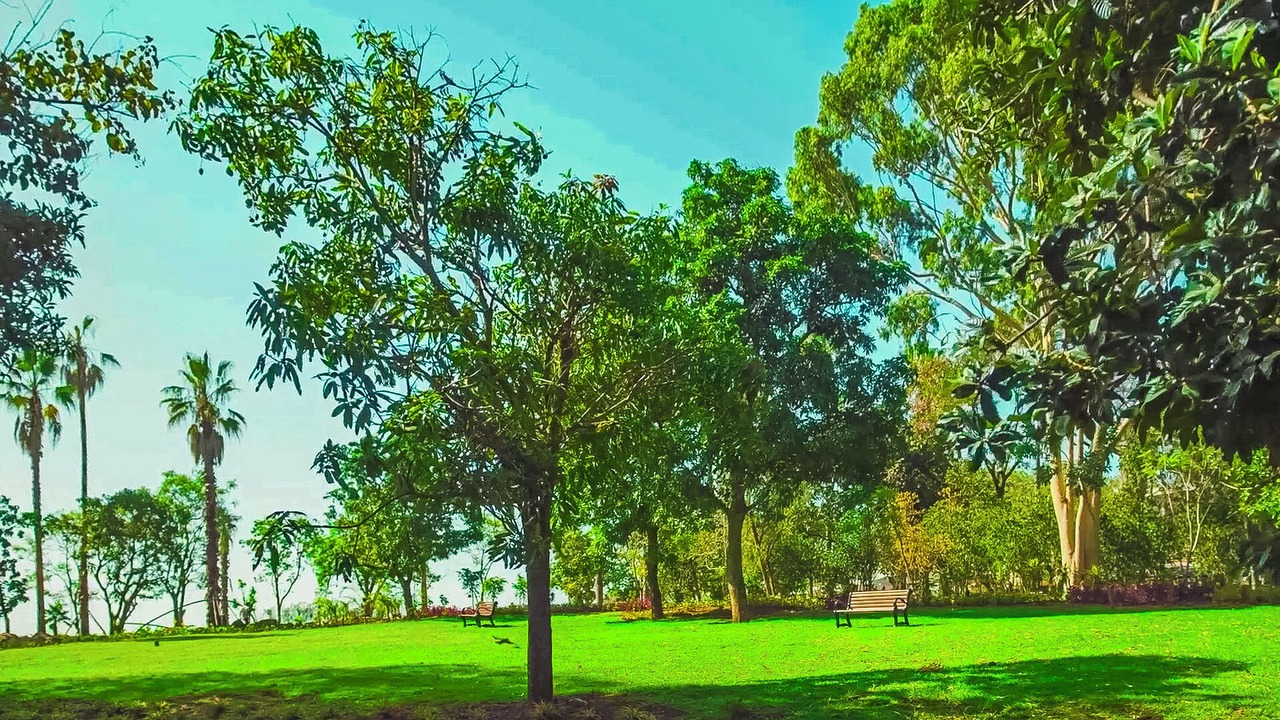 Photo of Outdoor in Gorgora
