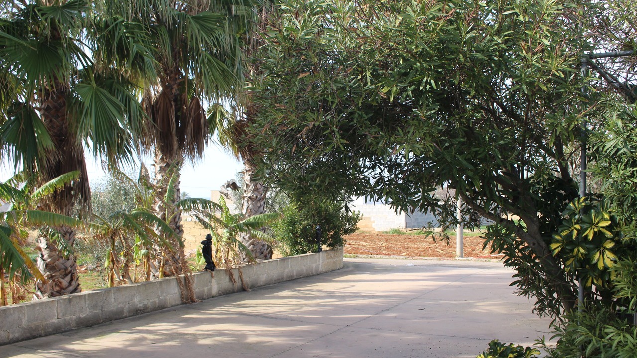 Photo of Outdoor in Torre Suda