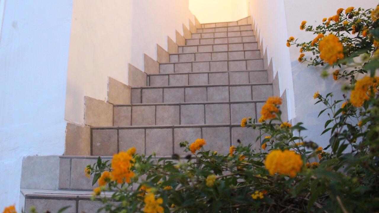 Photo of Others in Torre Suda