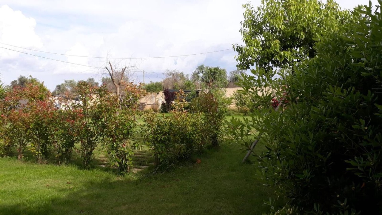 Photo of Outdoor in Il Monte