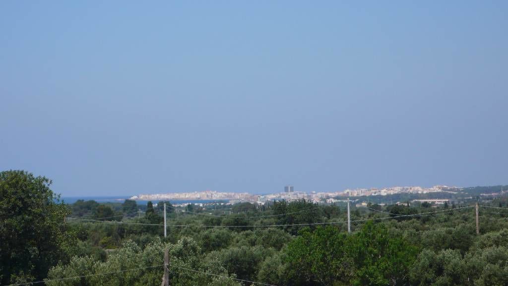 Photo of Others in Il Monte
