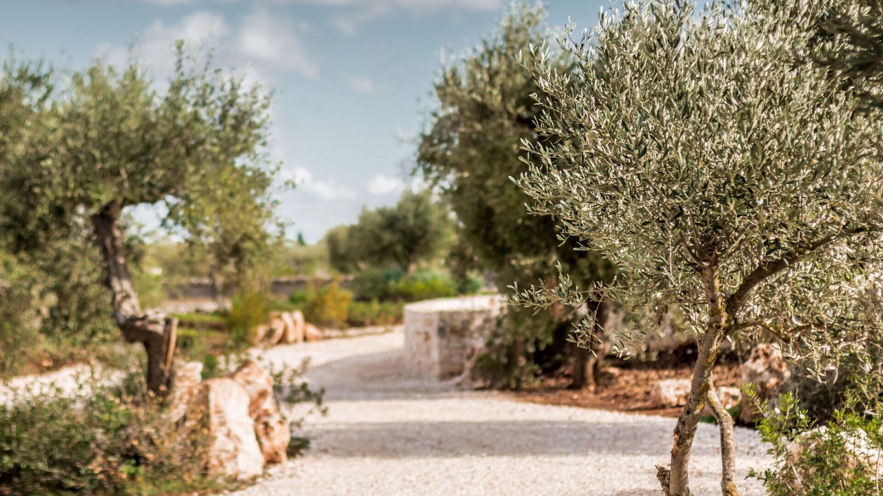 Photo of Outdoor in Cisternino