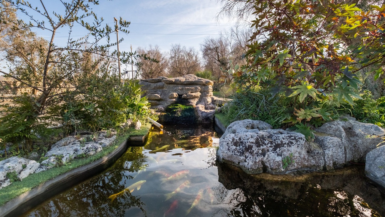 Photo of Outdoor in Borgagne