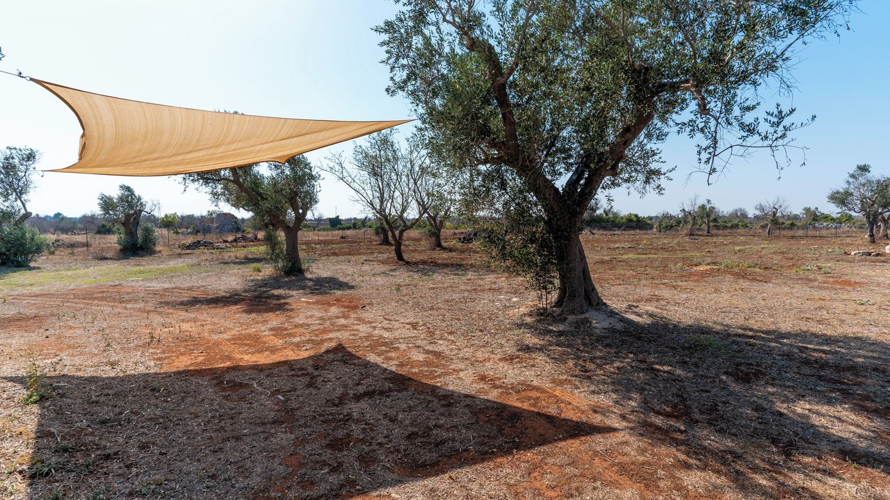 Photo of Outdoor in Ruffano