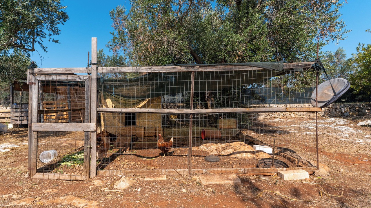 Photo of Outdoor in Ruffano