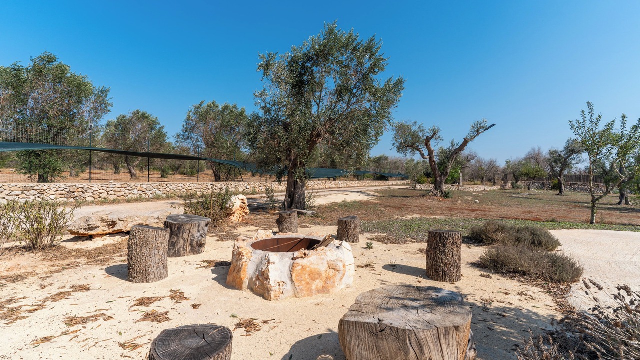 Photo of Outdoor in Ruffano