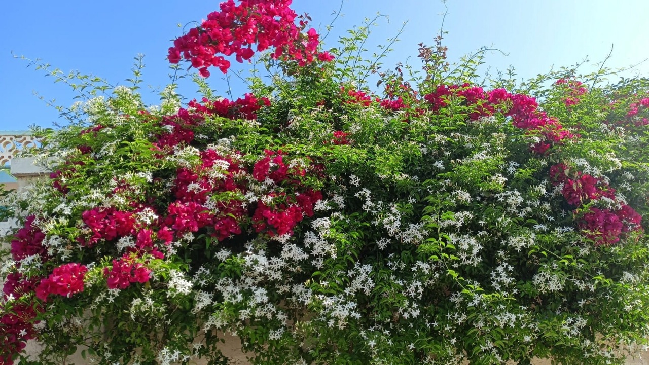 Photo of Outdoor in Torre Chianca