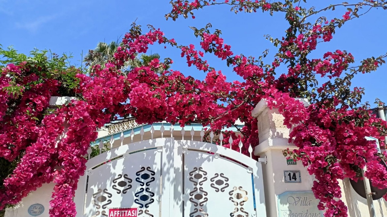 Photo of Outdoor in Torre Chianca