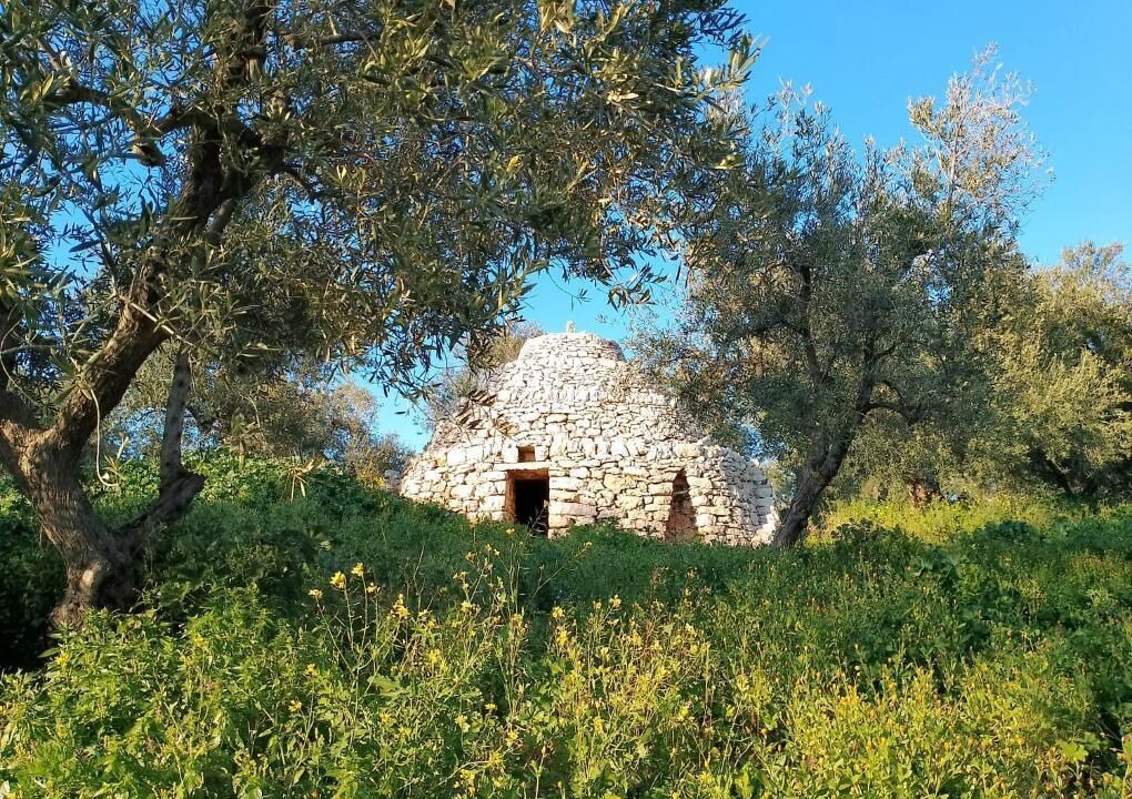 Photo of Outdoor in Bisceglie