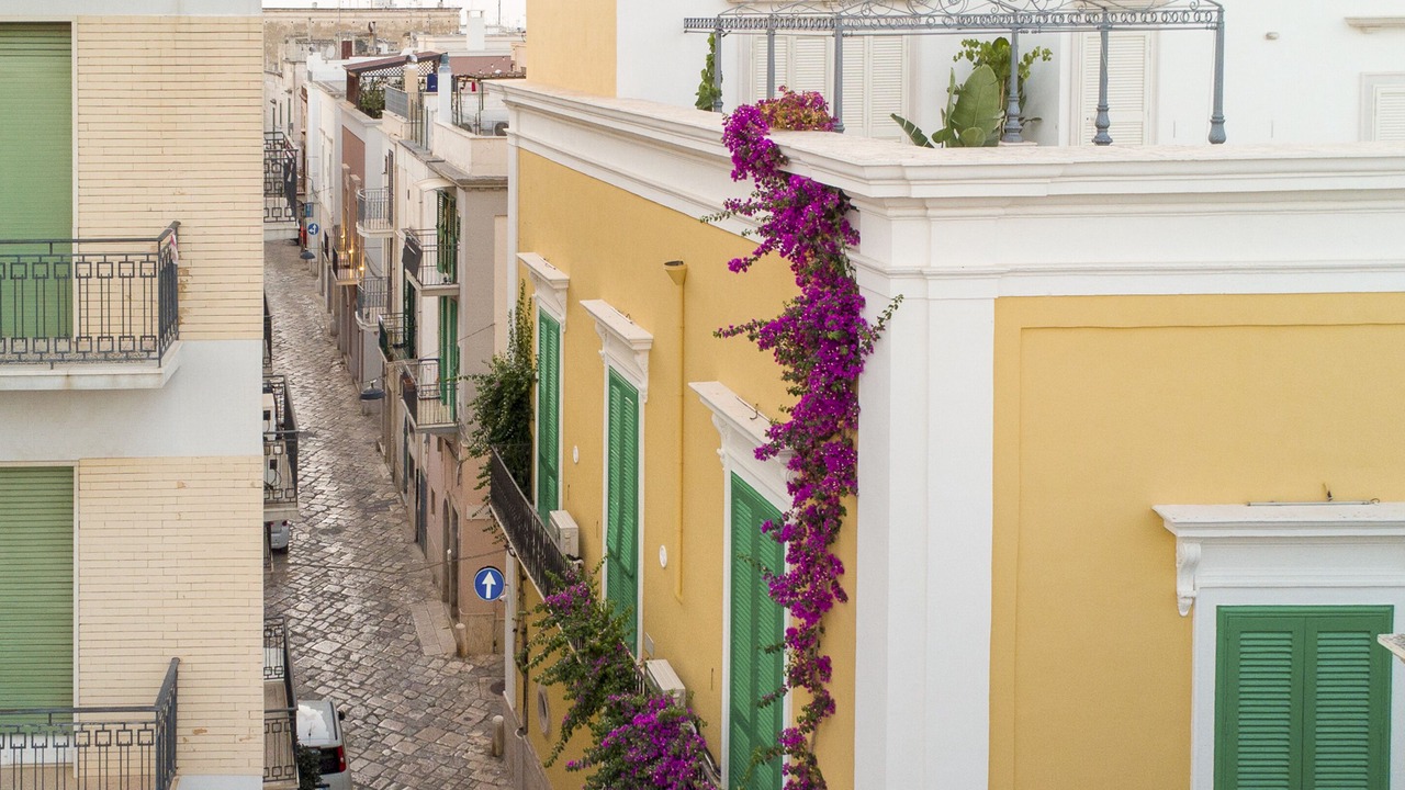 Photo of Outdoor in Fasano