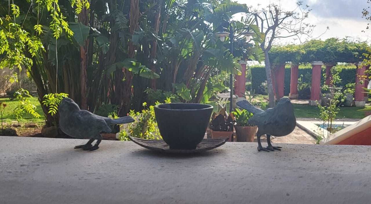 Photo of Outdoor in Casarano