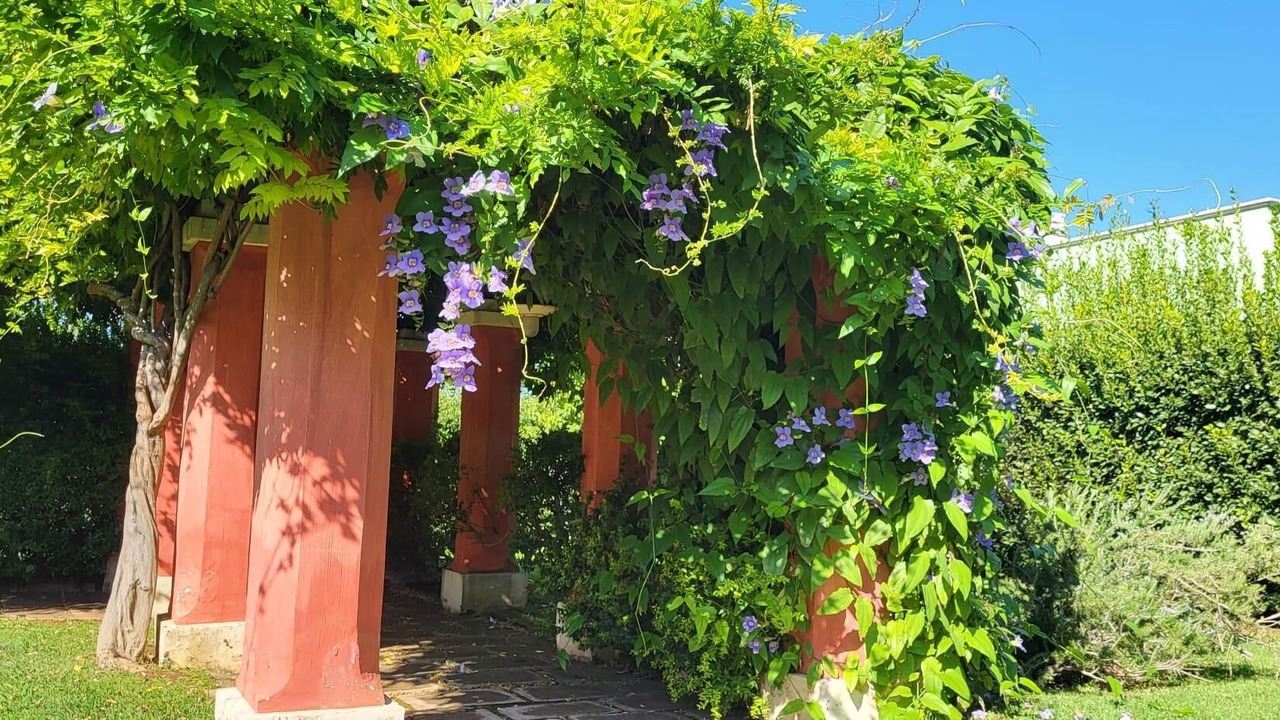 Photo of Outdoor in Casarano