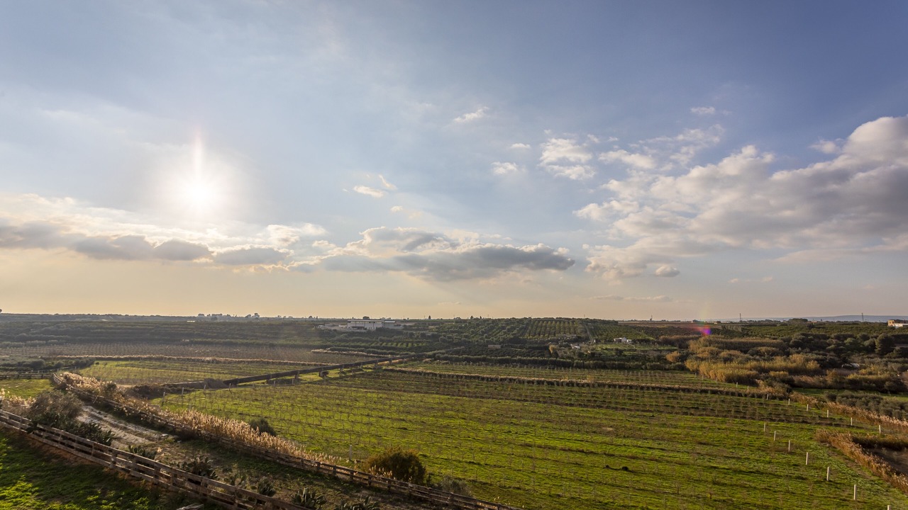 Photo of Outdoor in Palagiano