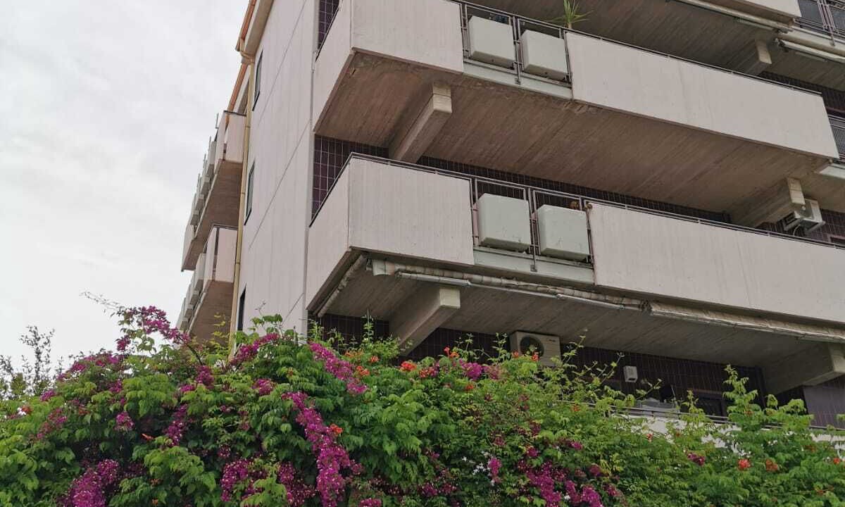 Photo of Outdoor in Foggia