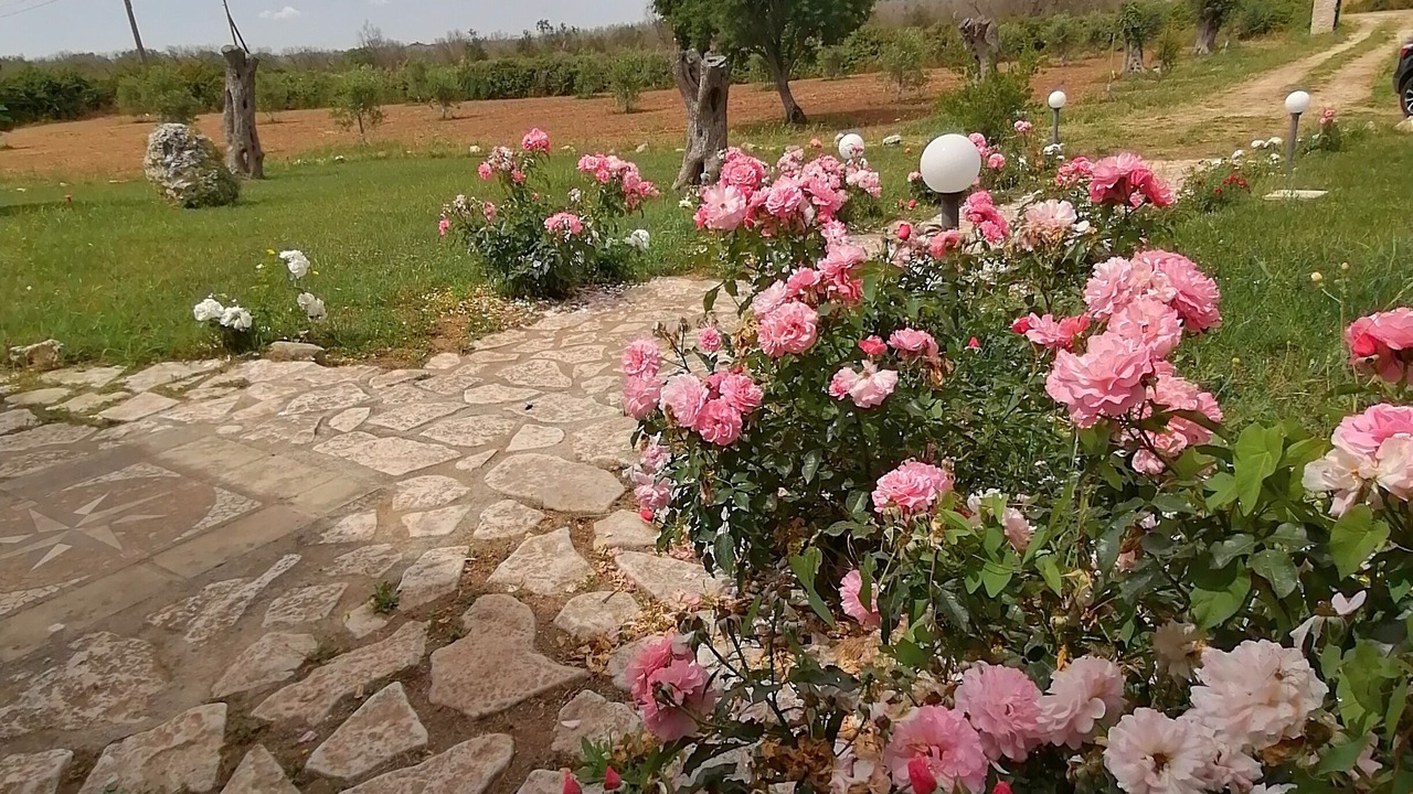 Photo of Outdoor in Uggiano la Chiesa