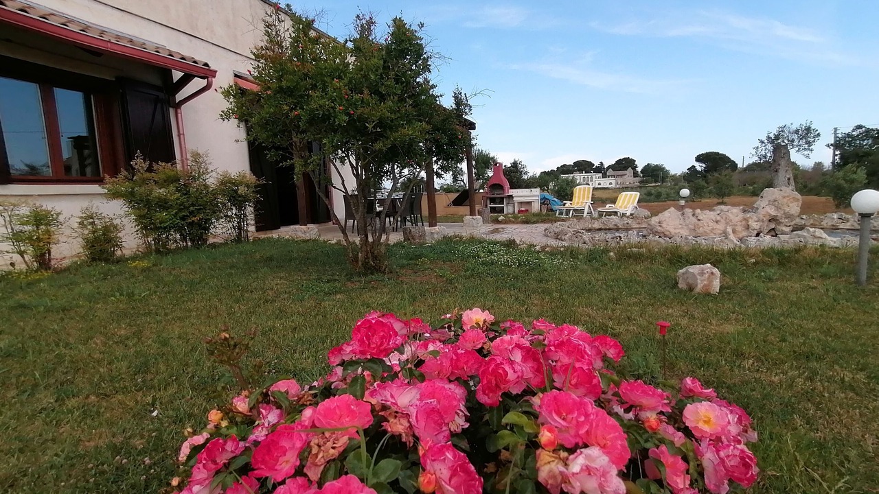 Photo of Others in Uggiano la Chiesa