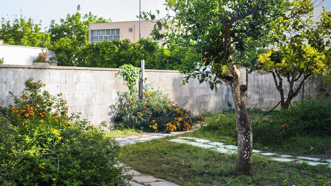 Photo of Outdoor in Giurdignano