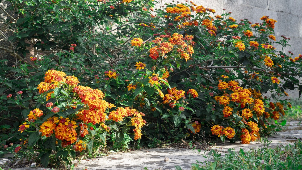 Photo of Outdoor in Giurdignano