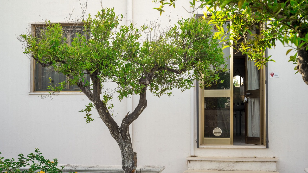 Photo of Outdoor in Giurdignano