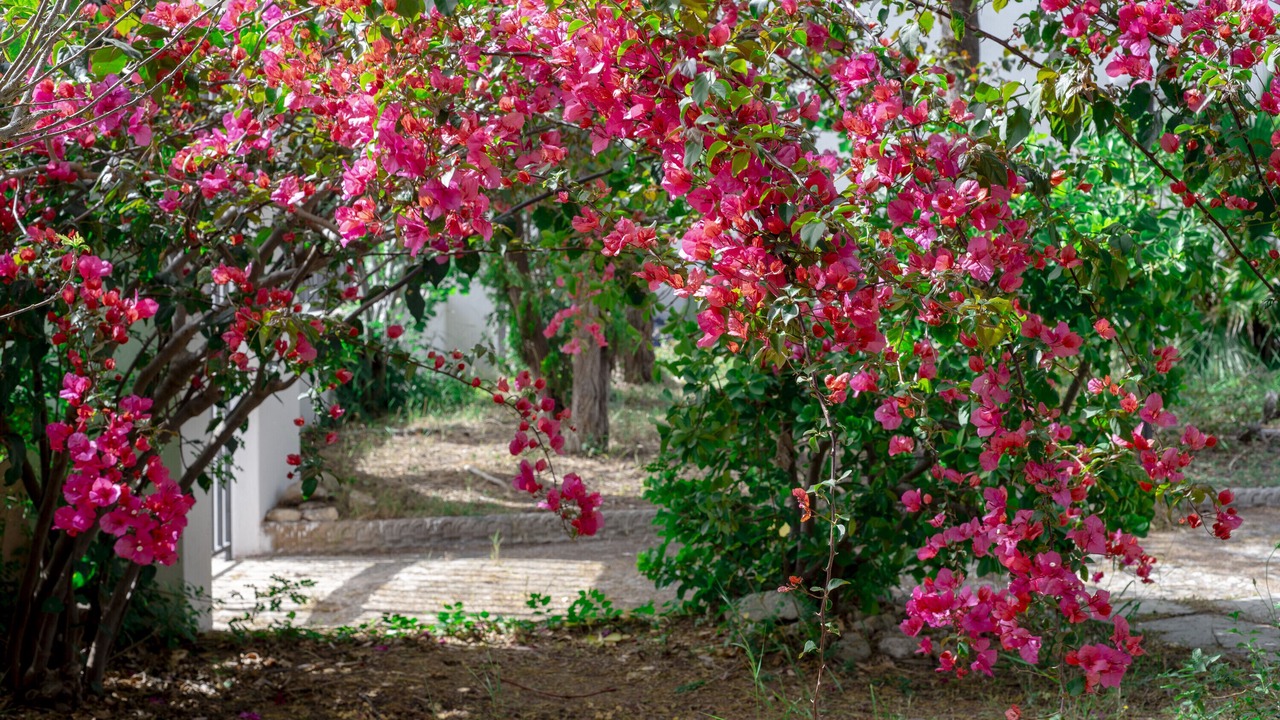 Photo of Outdoor in Giurdignano