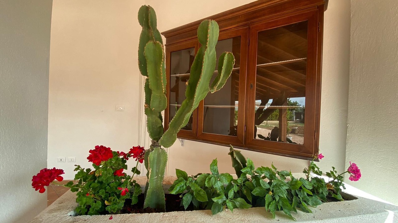 Photo of Outdoor in Pantanagianni-pezze Morelli