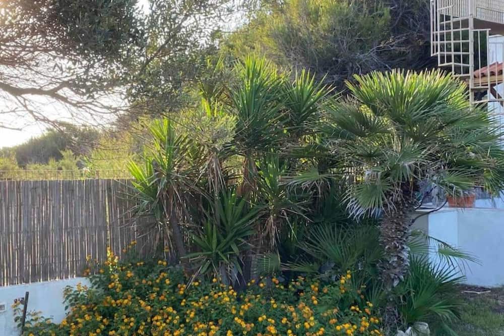 Photo of Outdoor in Leporano