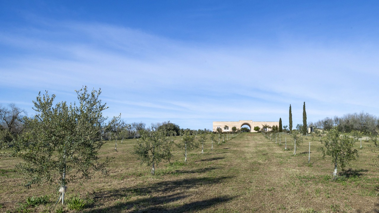 Photo of Outdoor in Giurdignano