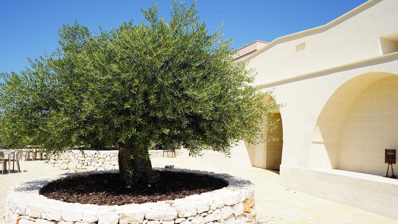 Photo of Outdoor in San Giorgio Ionico