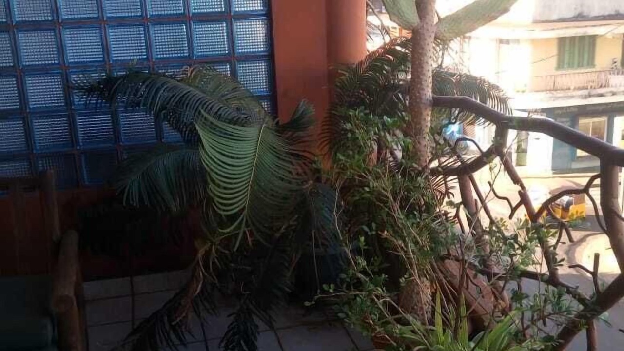 Photo of Patio Balcony in Diego Suarez