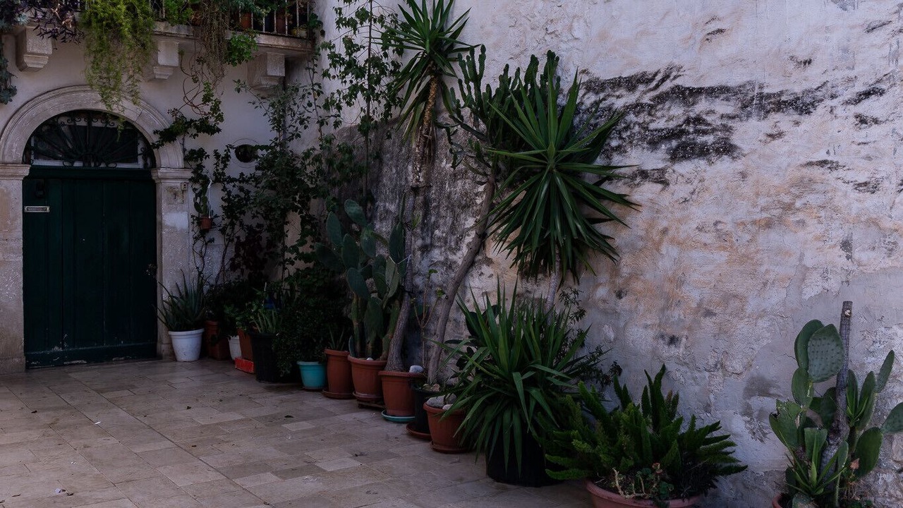 Photo of Outdoor in Noicattaro