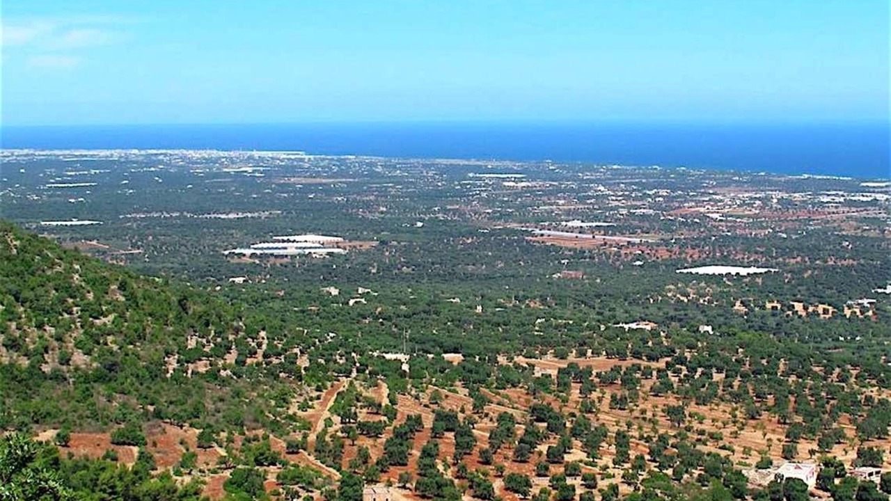 Photo of Outdoor in L'Assunta