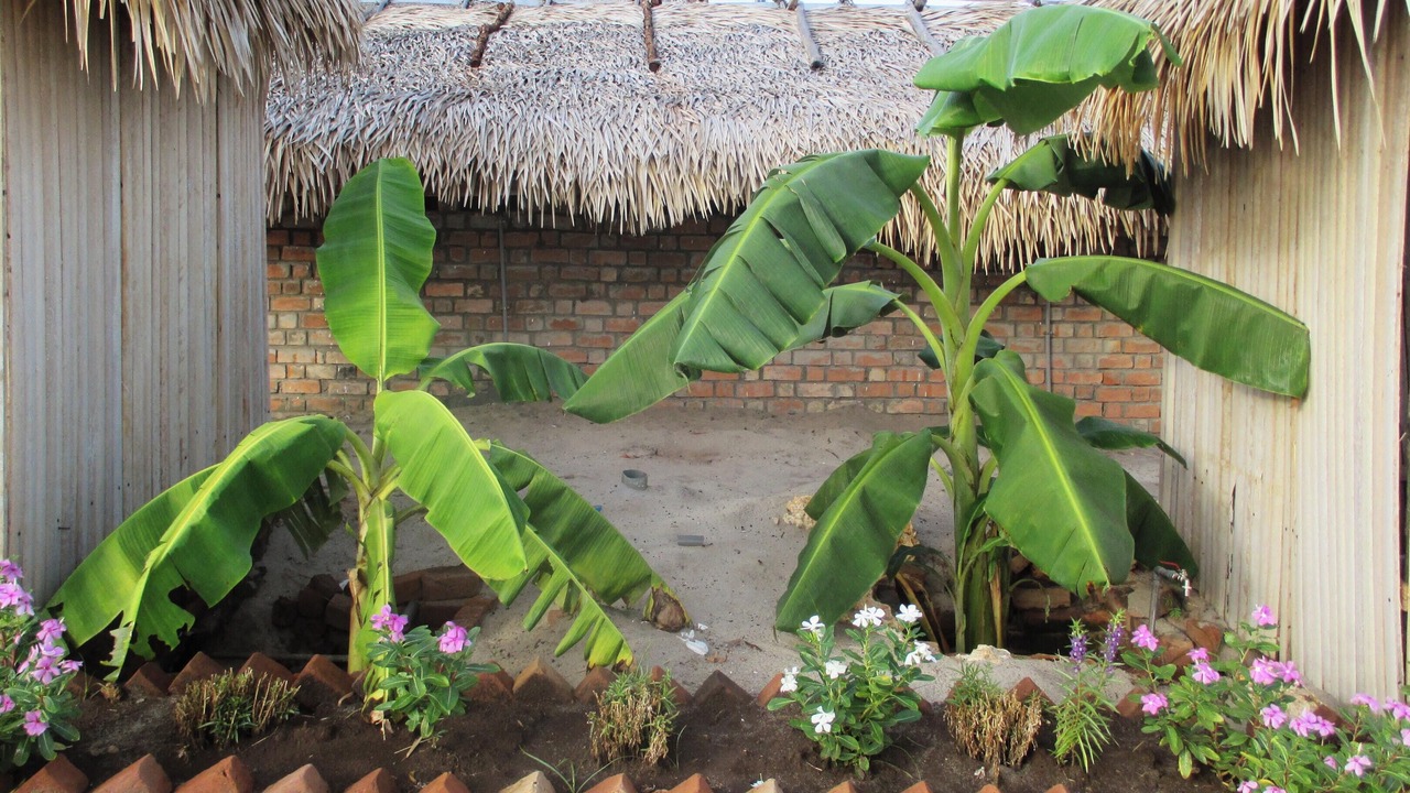 Photo of Outdoor in Mahajanga