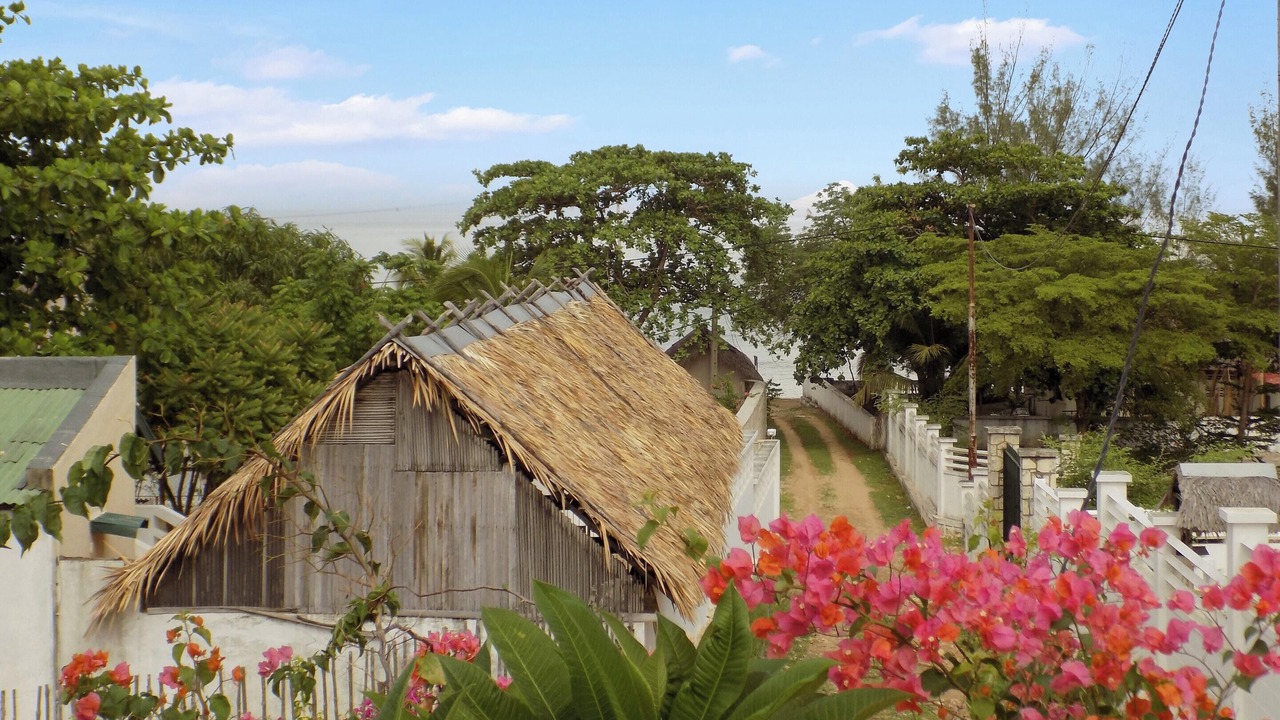 Photo of Outdoor in Mahajanga