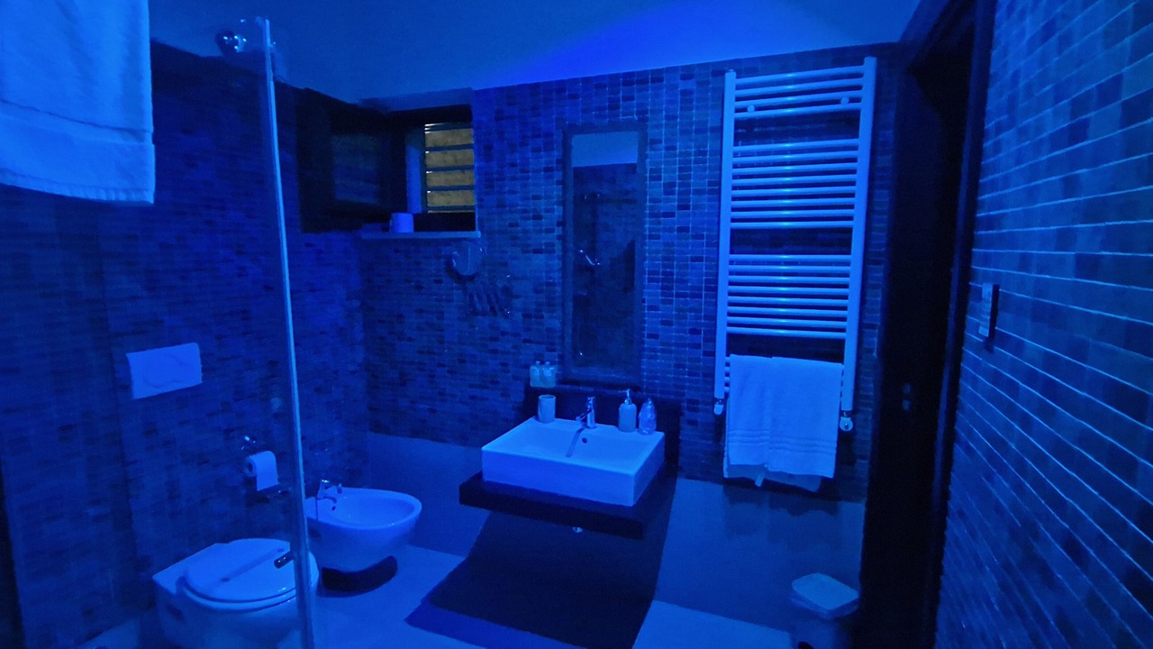 Photo of Bathroom in Municipio 5