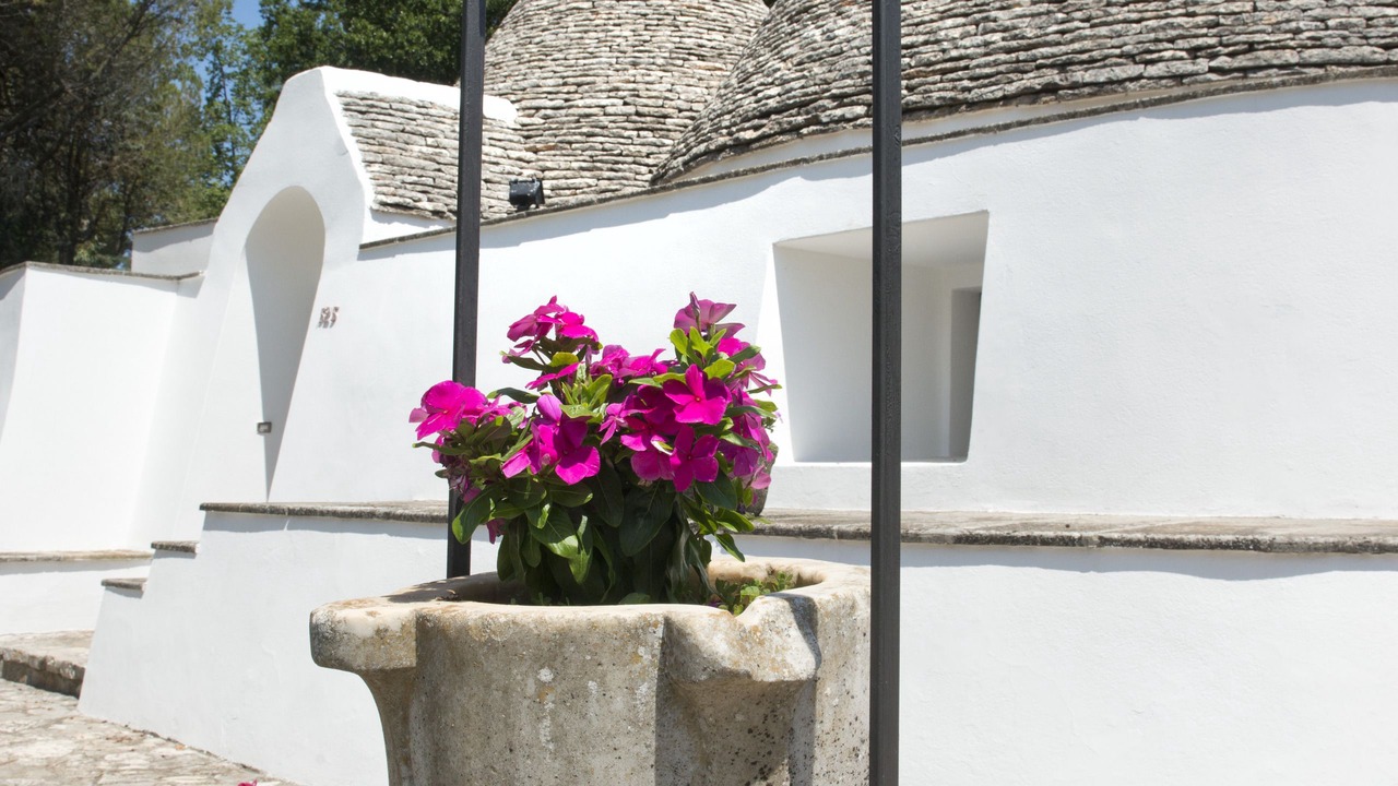 Photo of Outdoor in Selva di Fasano