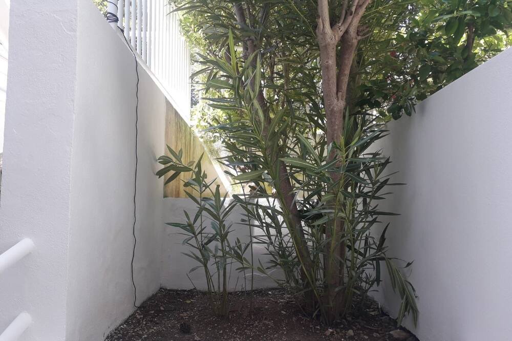 Photo of Outdoor in Cozze
