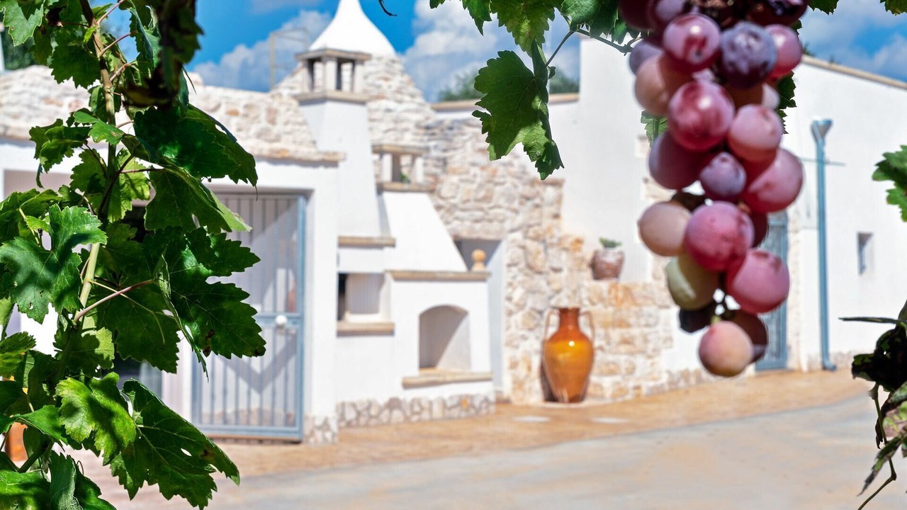 Photo of Outdoor in Ceglie Messapica