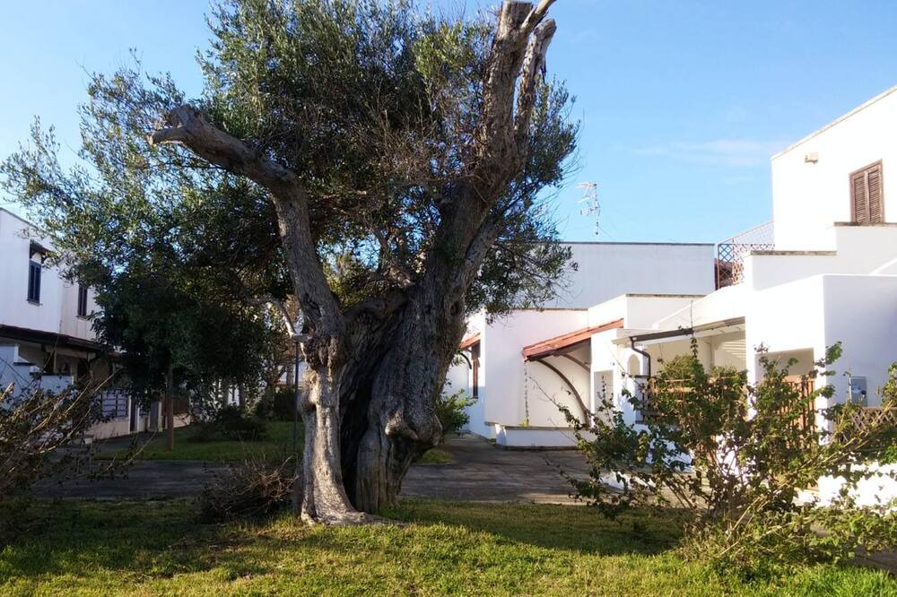 Photo of Others in Roca Vecchia